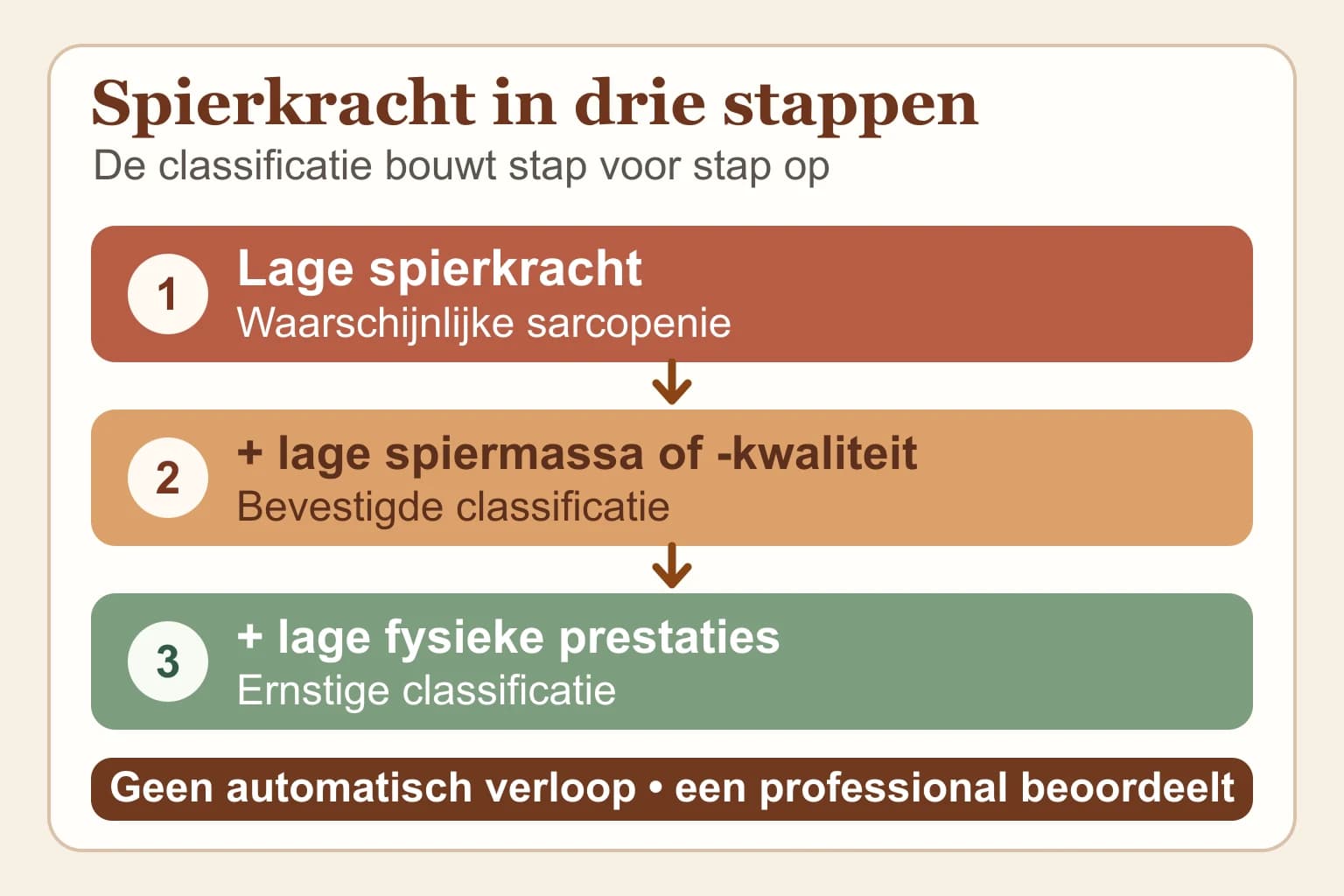 Uitlegillustratie van het Europese beoordelingskader: lage spierkracht wijst op waarschijnlijke sarcopenie, daarnaast lage spierhoeveelheid of -kwaliteit bevestigt dit en daarnaast lage fysieke prestaties maakt de classificatie ernstig.