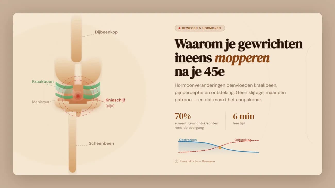 Anatomisch kniegewricht met kraakbeen, meniscus en pijnindicatoren — hormonale invloed op gewrichtspijn na je 40e